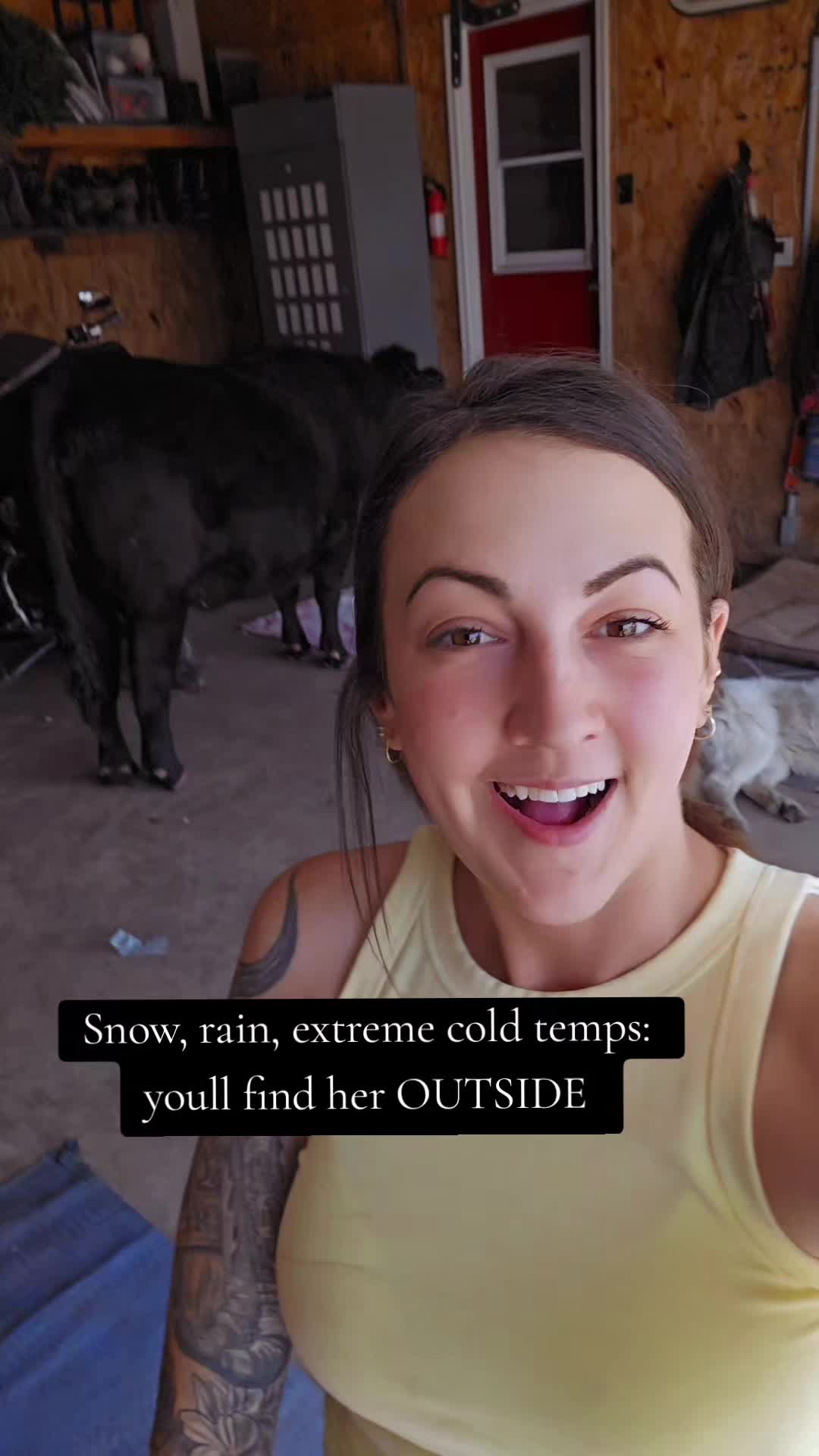@Dakotafunnyfarm