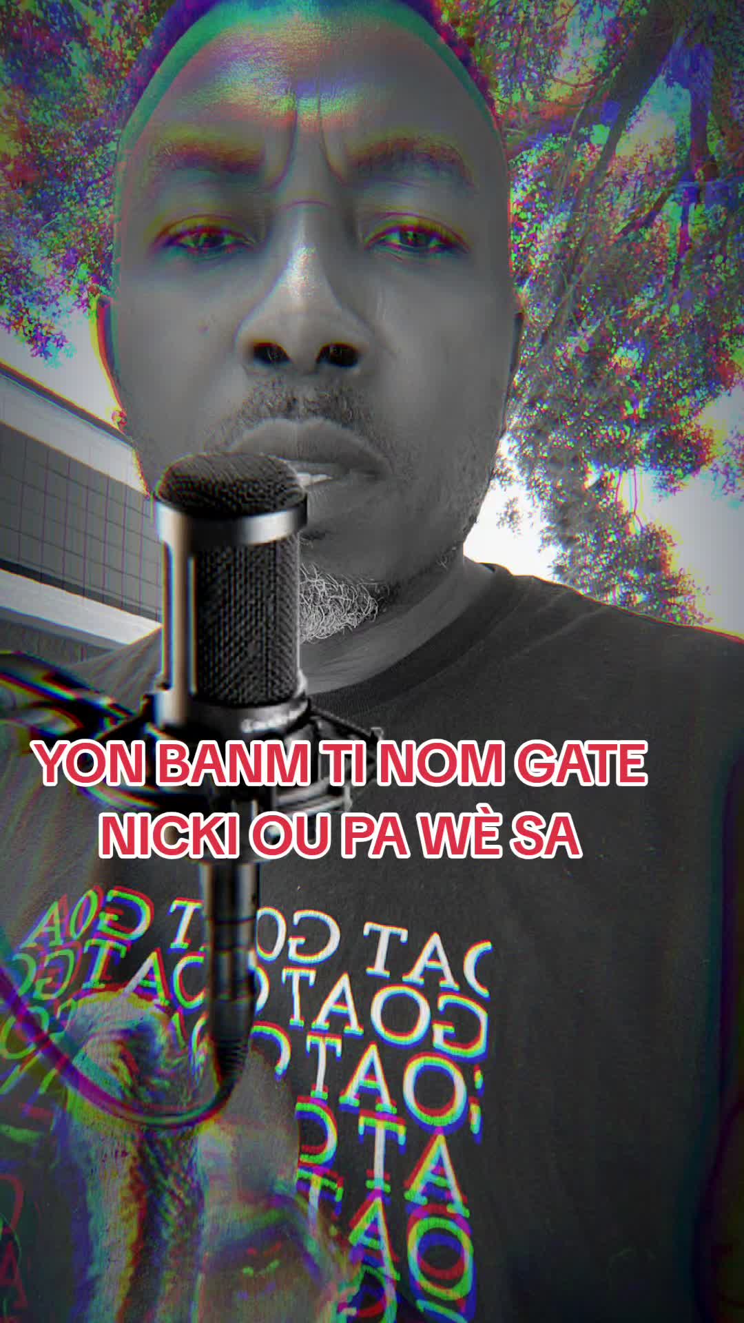 @Vibes Of Haiti Music