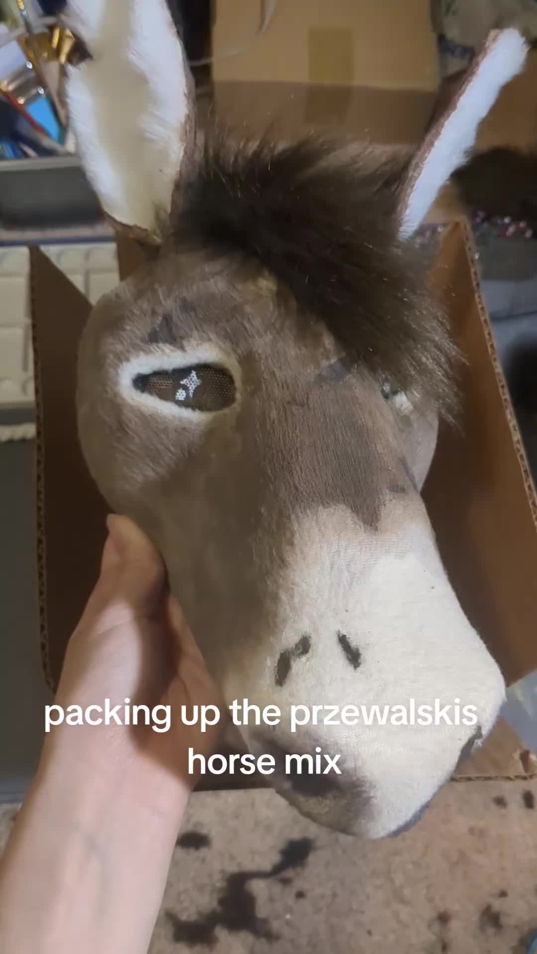 @MAX300