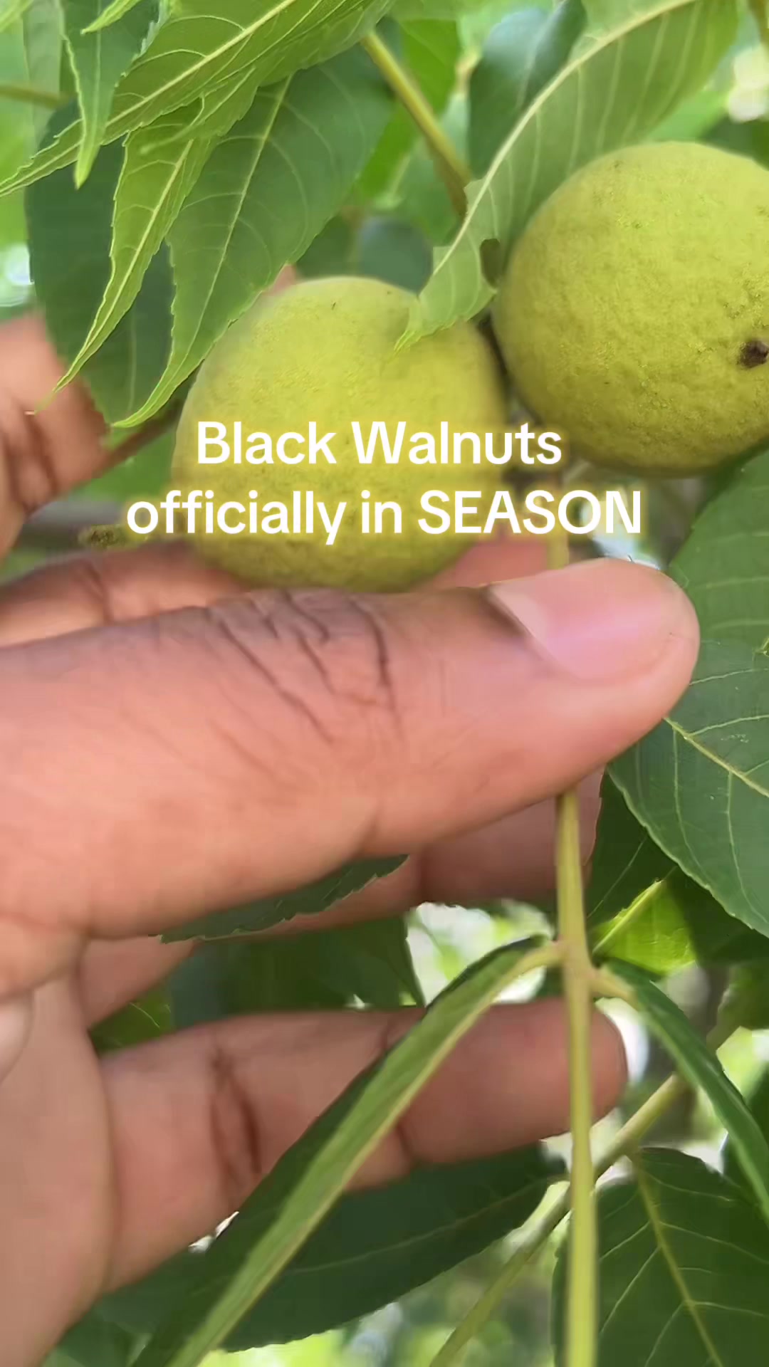 @ItsMelanatural