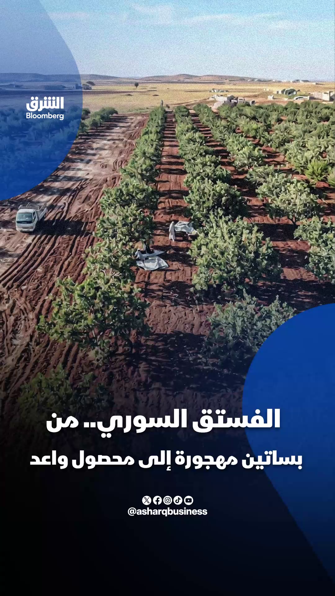 @الشرق بلومبرغ Asharq Bloomberg