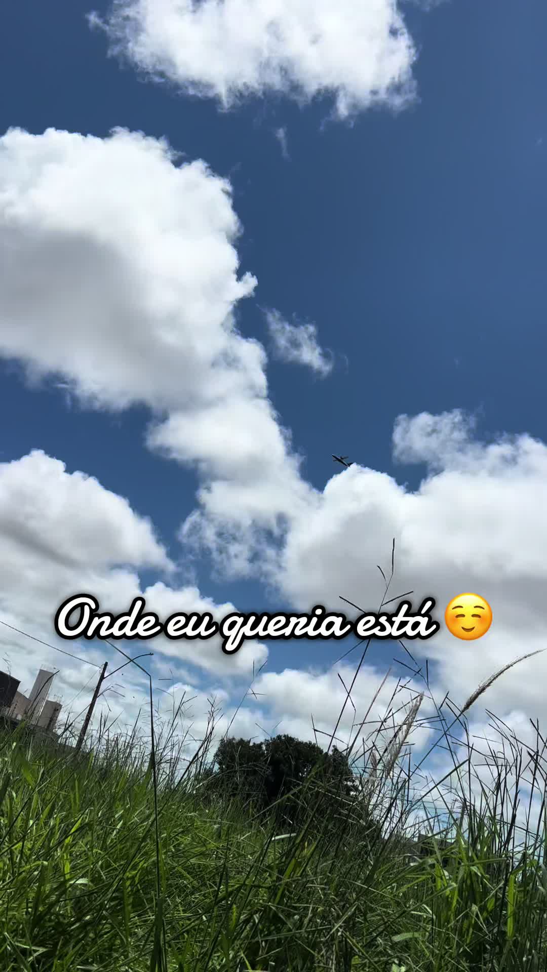 @Natyh Moreira