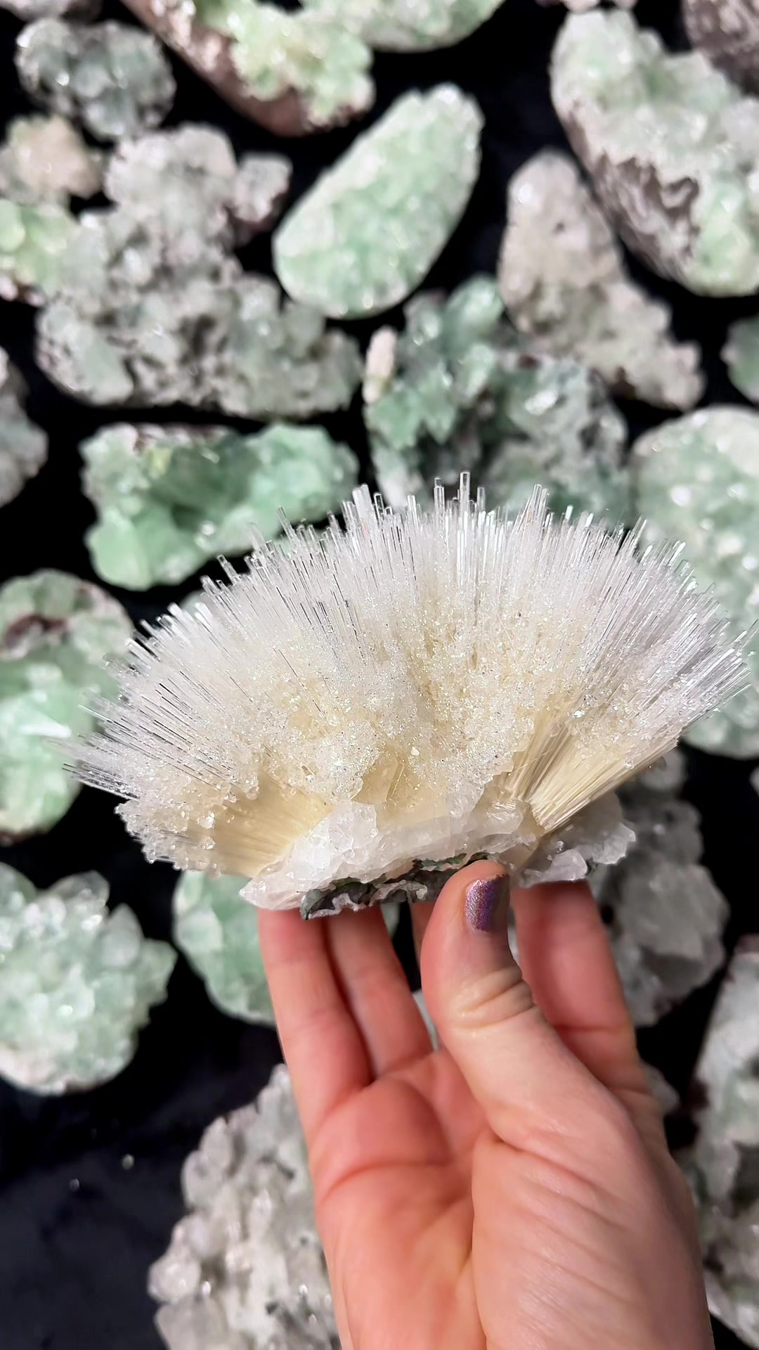 @Crystal Live Emporium✨Natalie