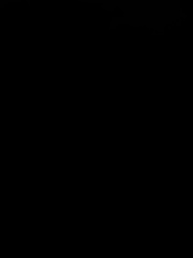 @Elegancia Fotográfica