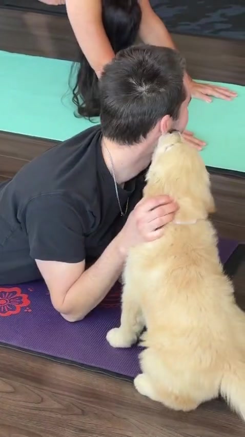 @Muskoka Puppy Yoga