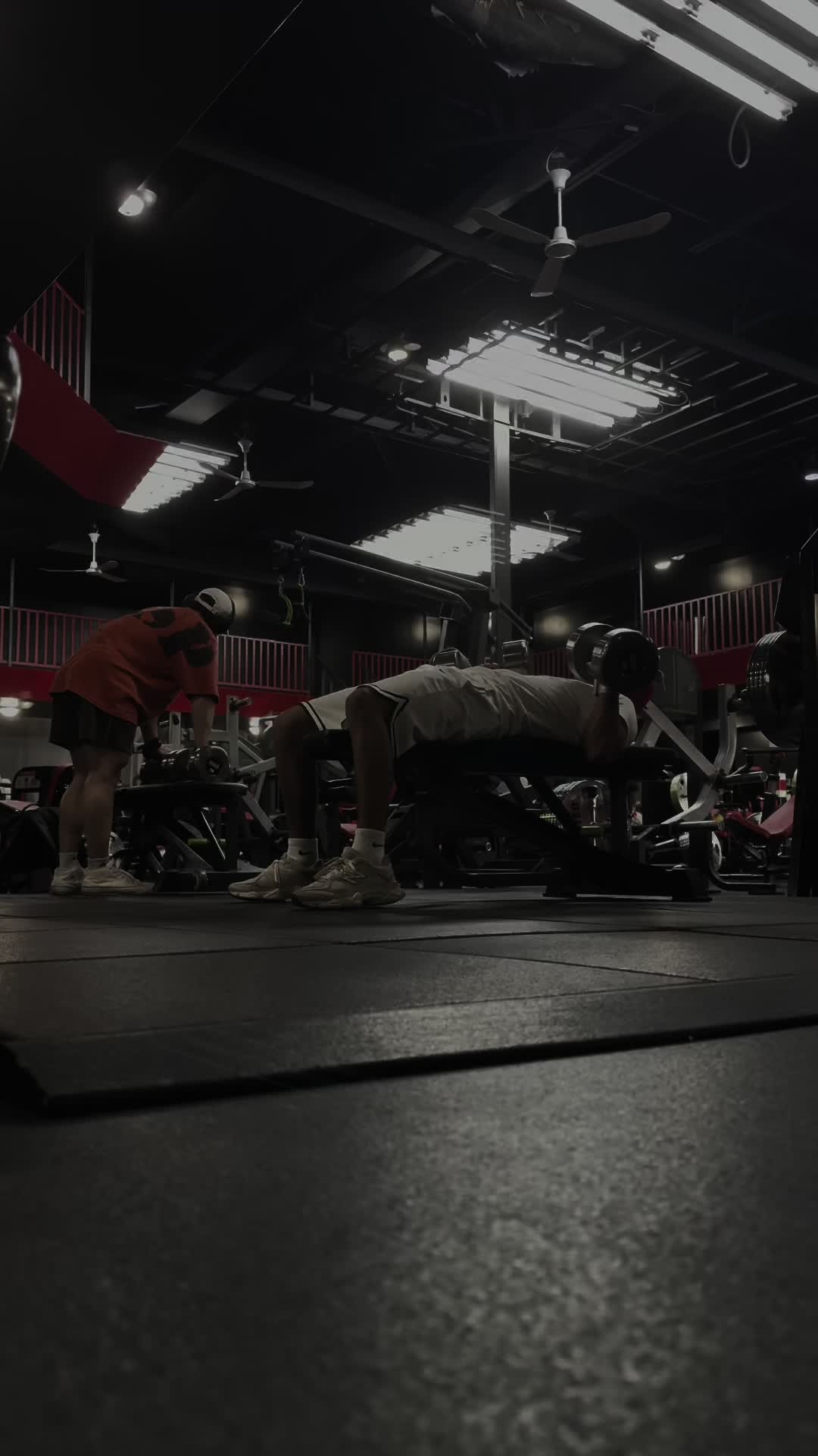 @wenskiii lifts 🧪