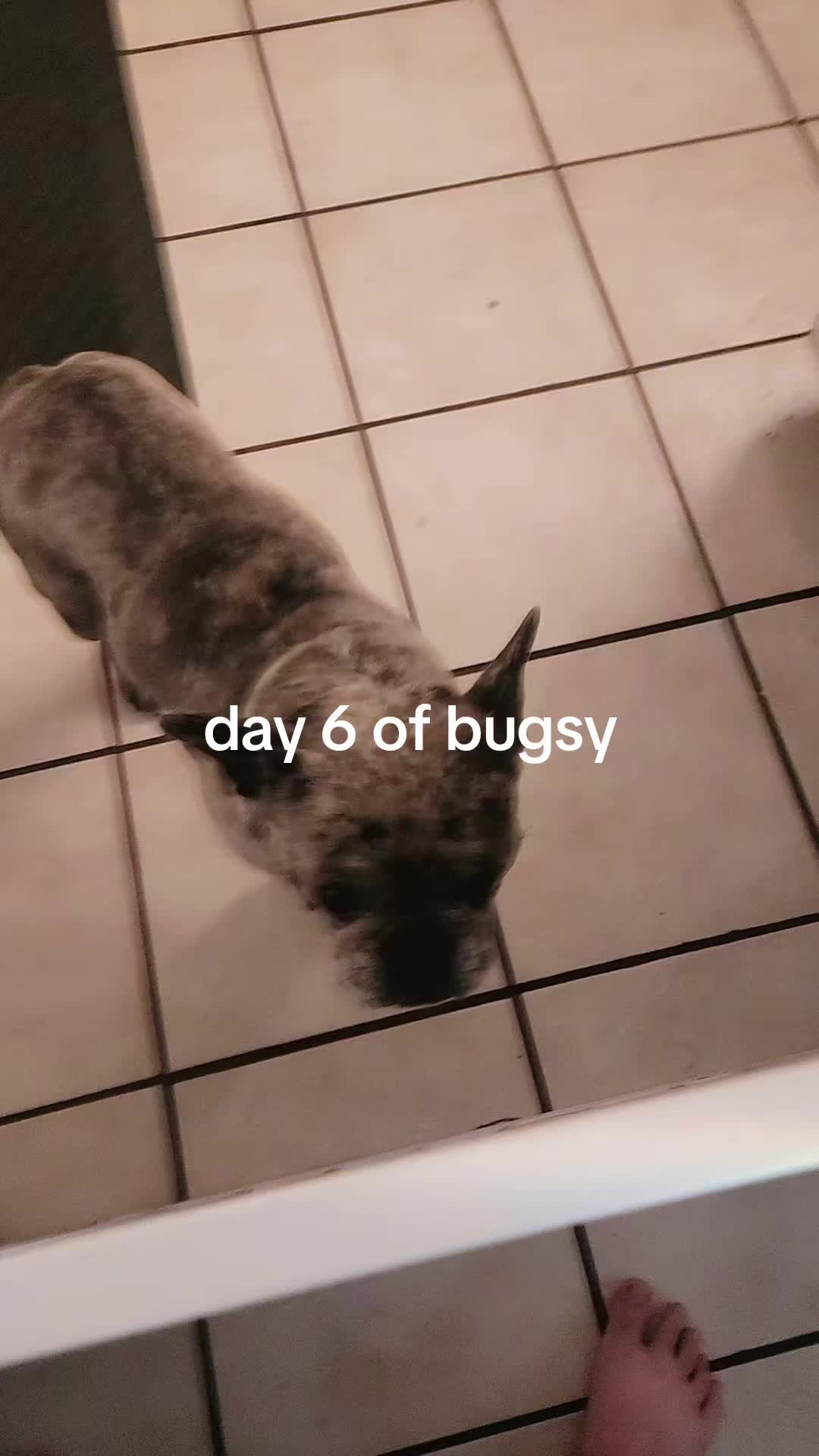 @RusselfromUp