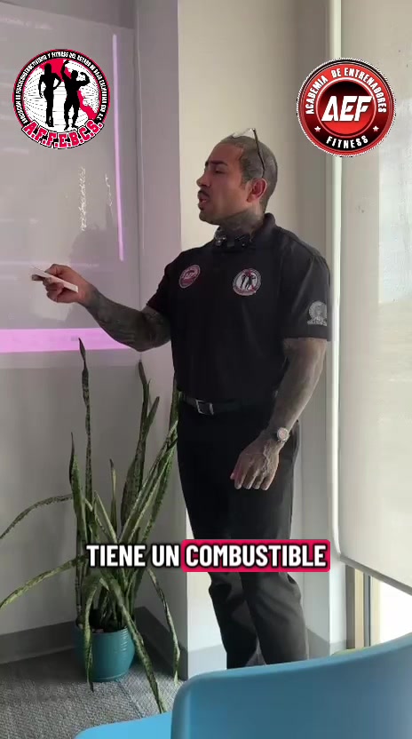 @aef_internacional
