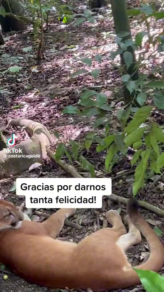 @Letos Mandujano