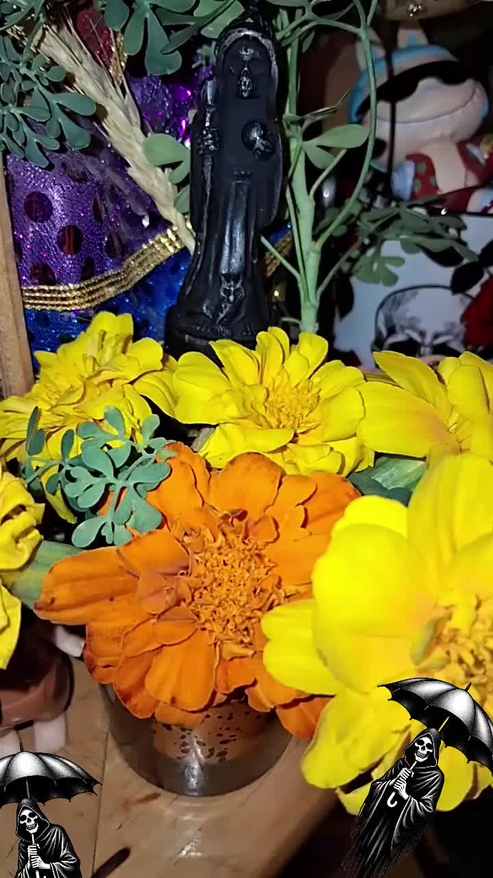 @la niña de la santa muerte