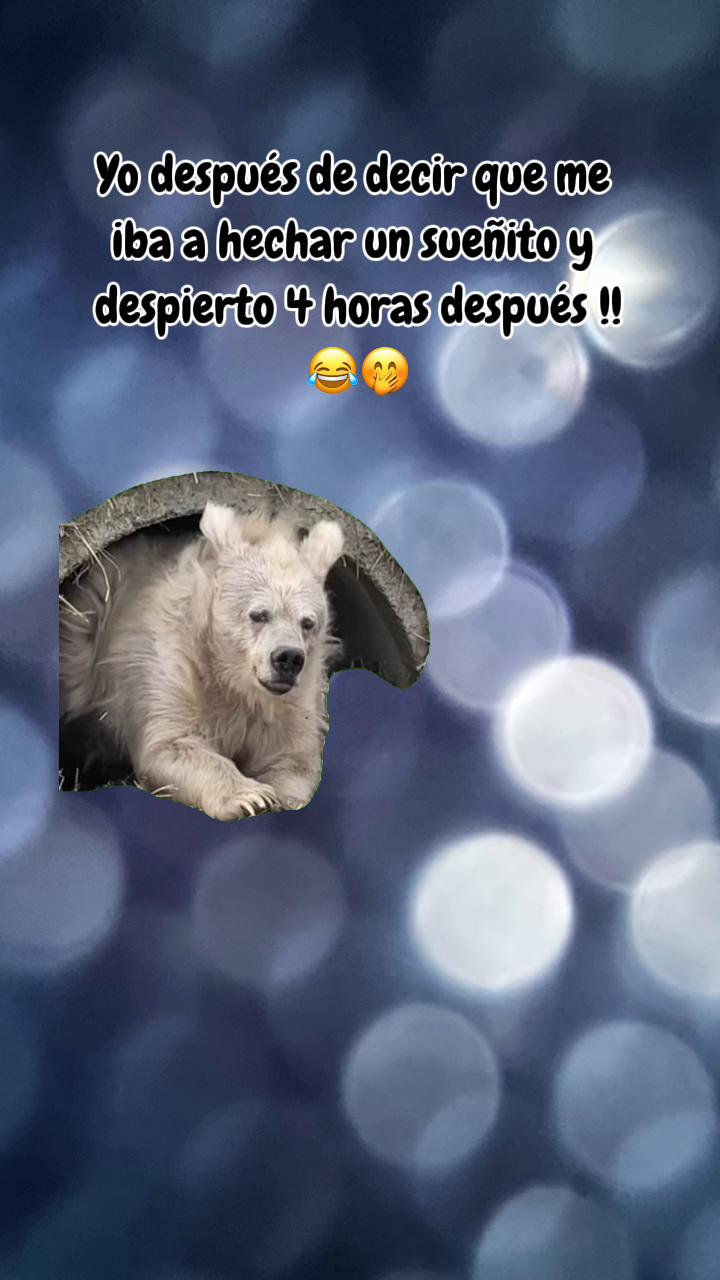 @🦋𝓓𝓲𝓪𝓷𝓲𝓼❤️&zwj;🔥