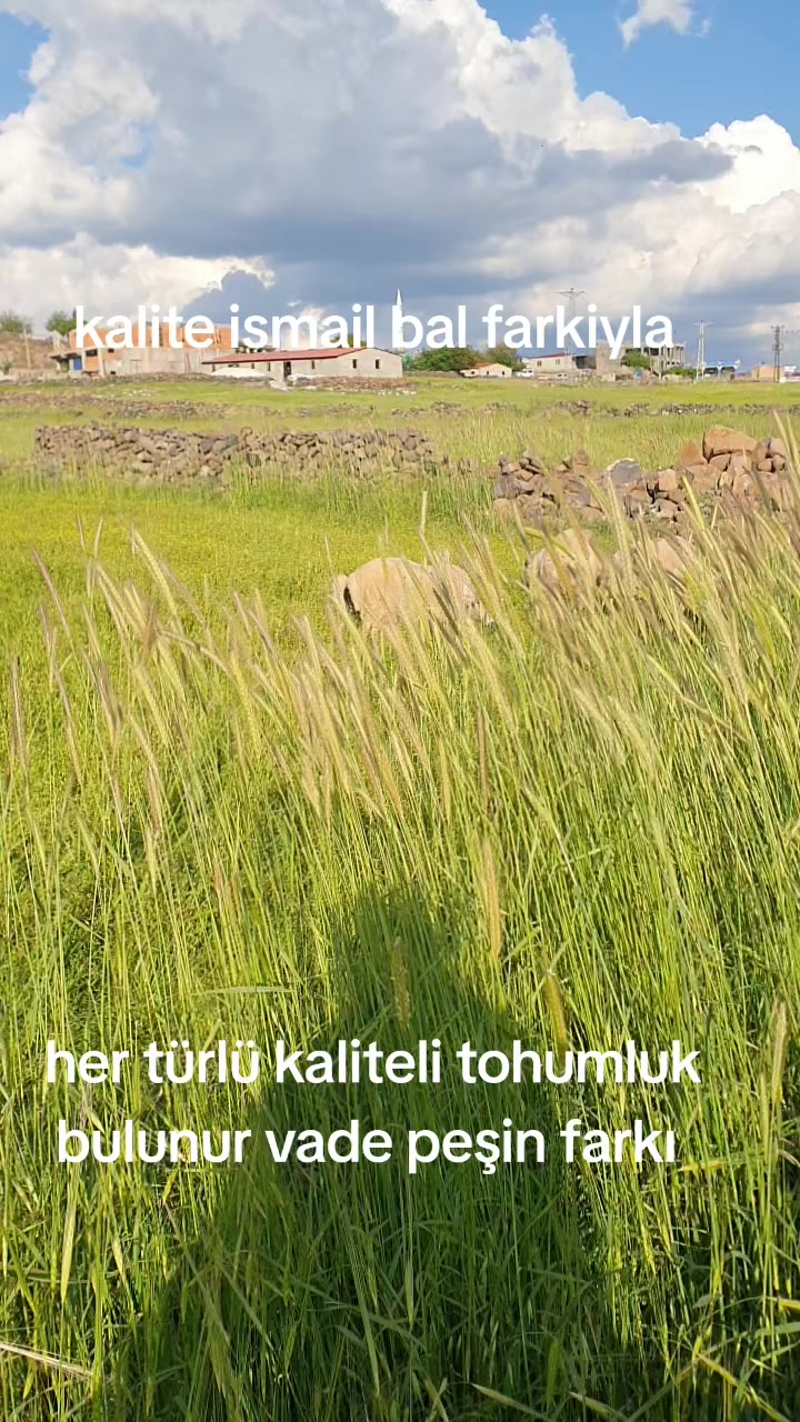 @Ismail Bal