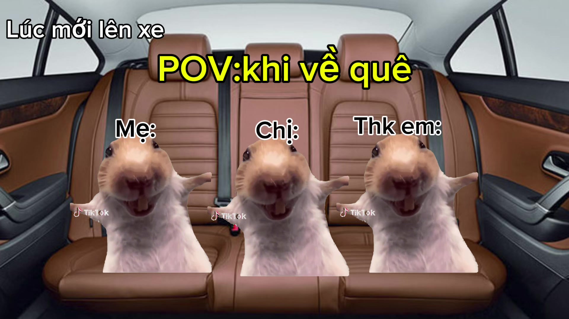 @Mewmeme