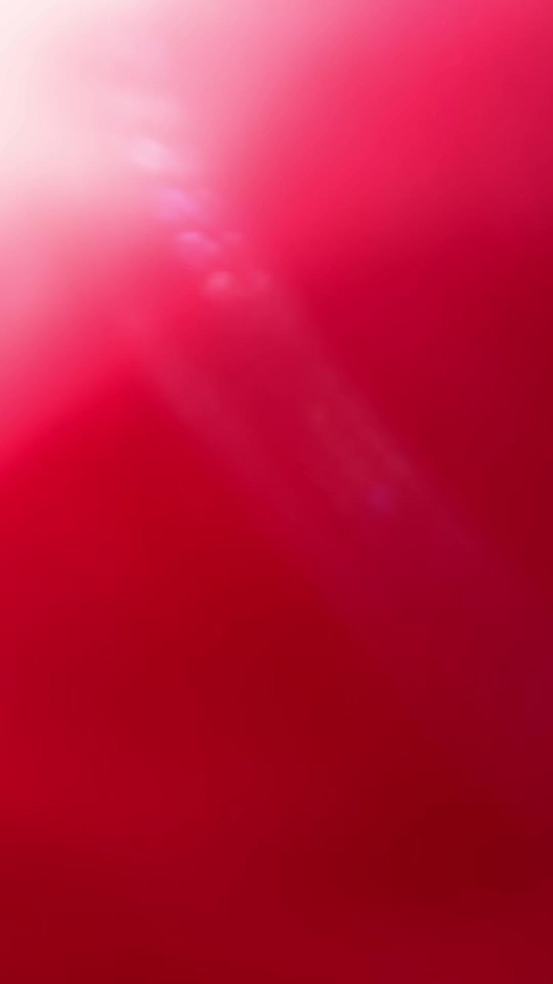 @الفدرالي 🧣