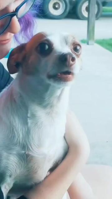 @Dawg I-/