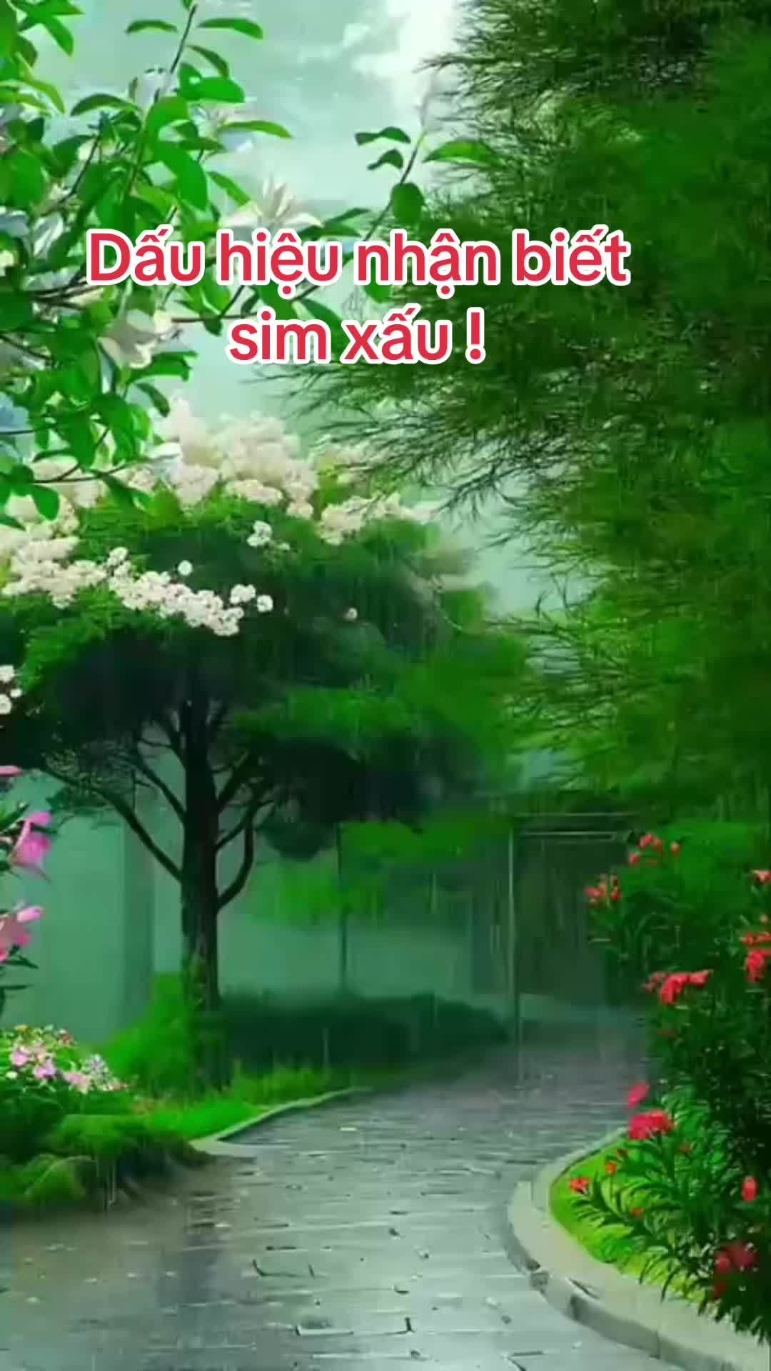 @Hoa Hướng Dương 6768