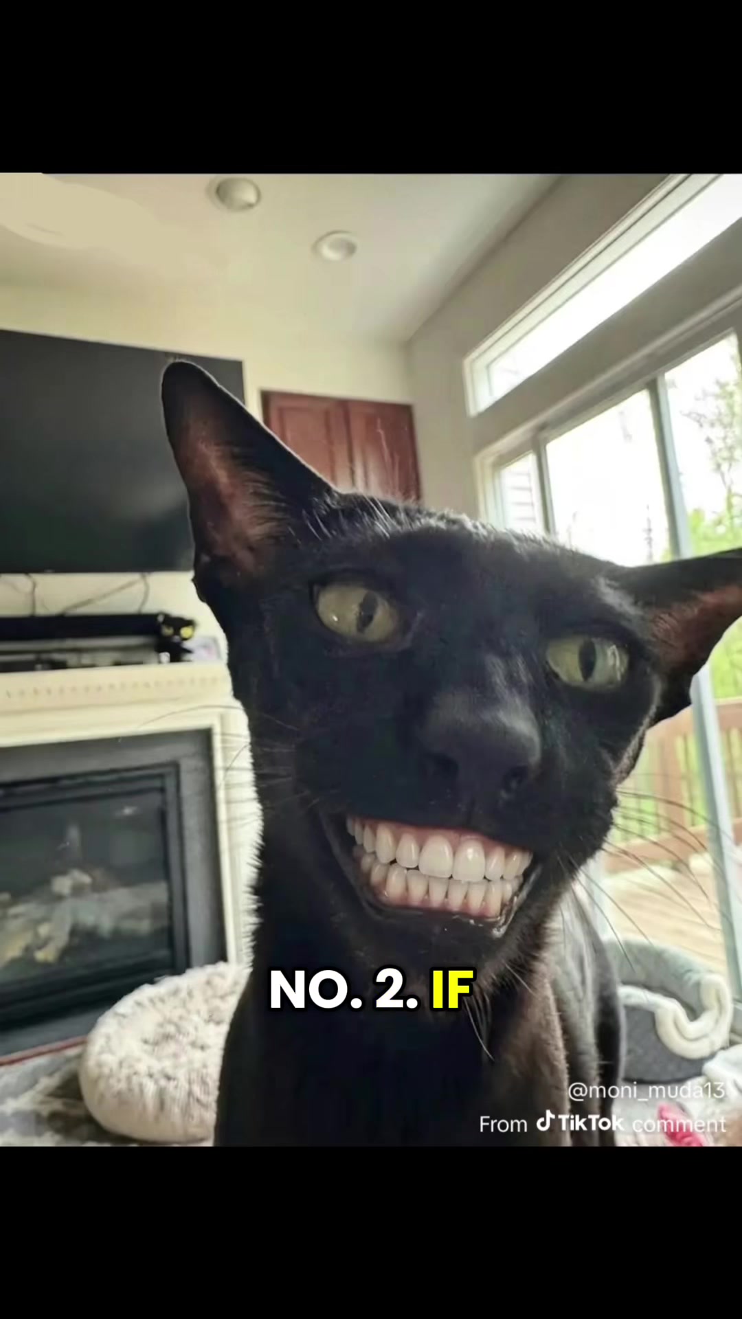 @hobbikats
