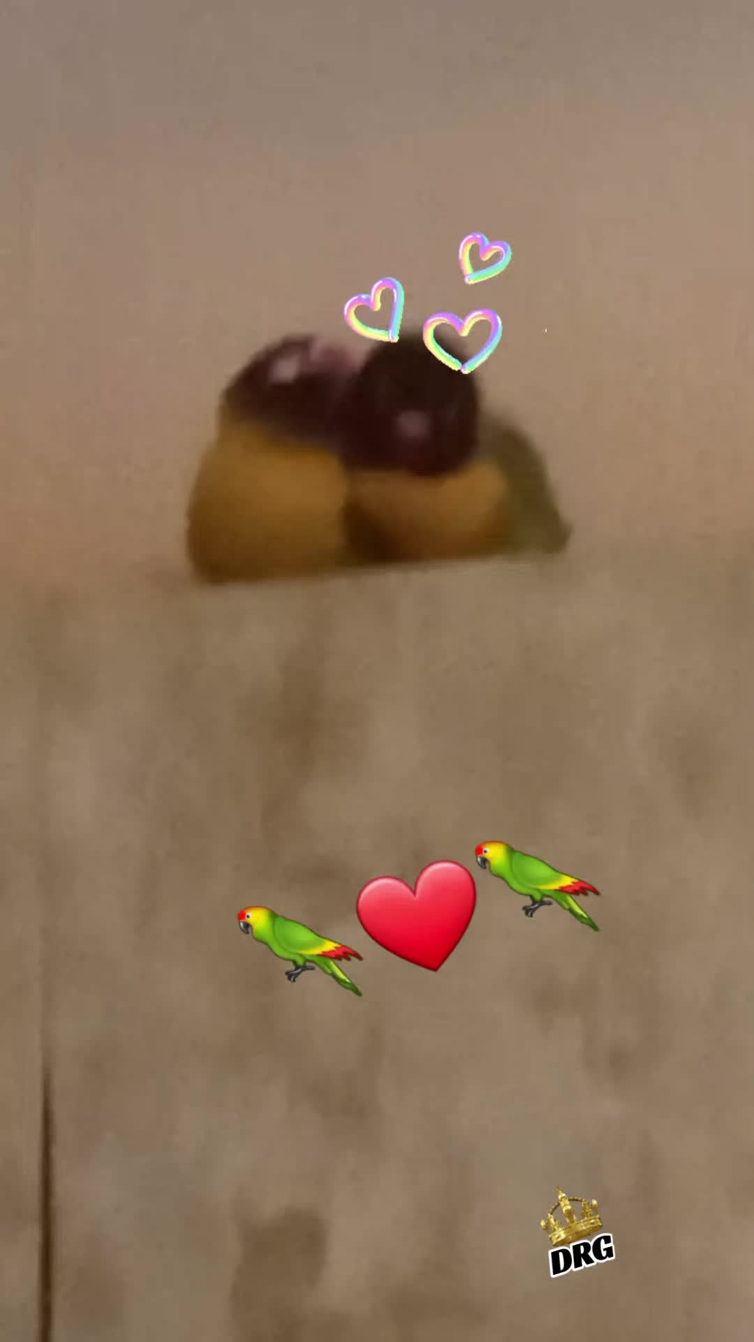 @🏳️&zwj;🌈💙꧁💥𝕐𝕧𝕚💥꧂💙🏳️&zwj;🌈