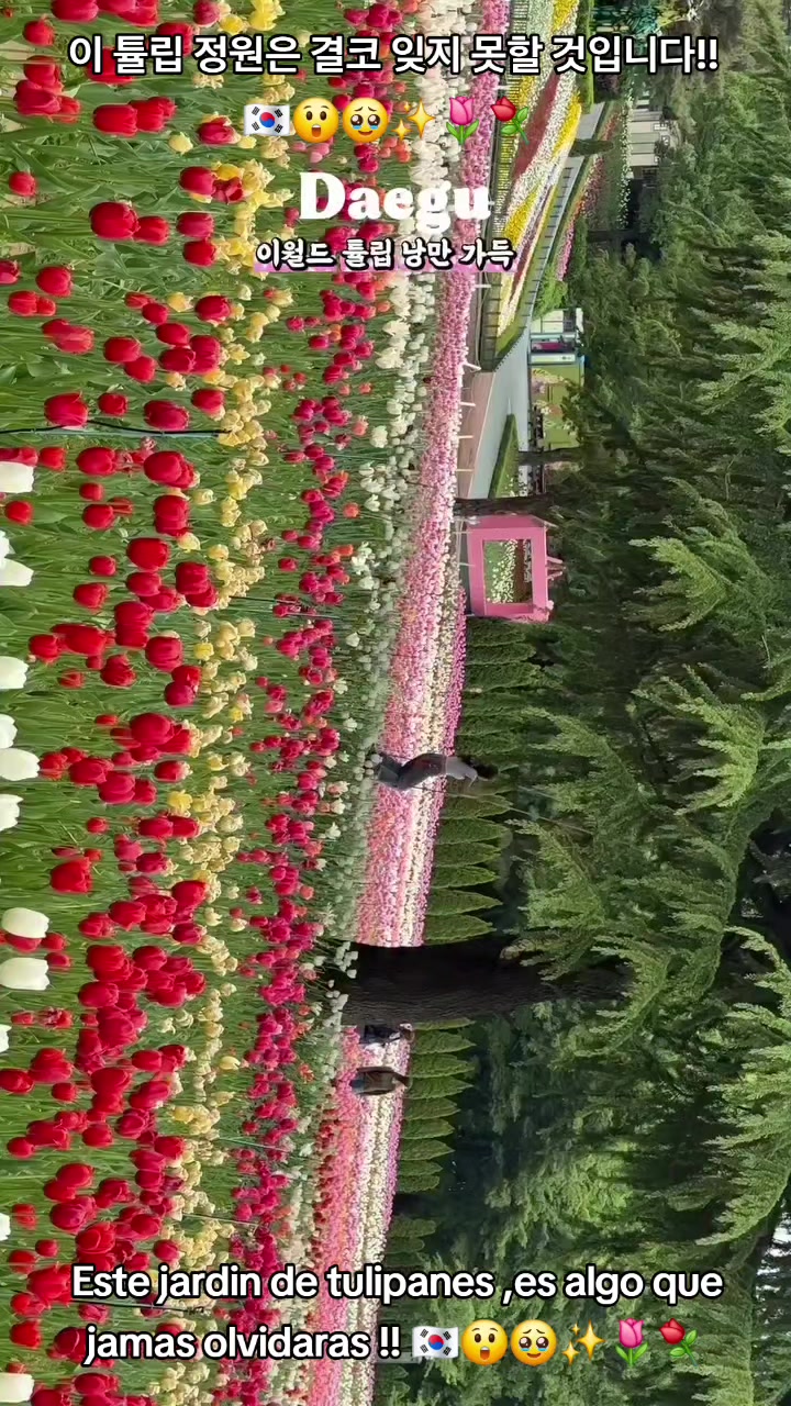 @마지막 사람이 속삭였어요 💤👤💤