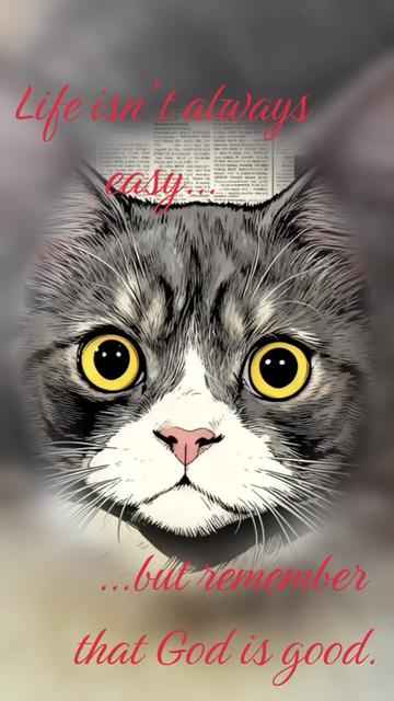 @🐱w!ne 🪺