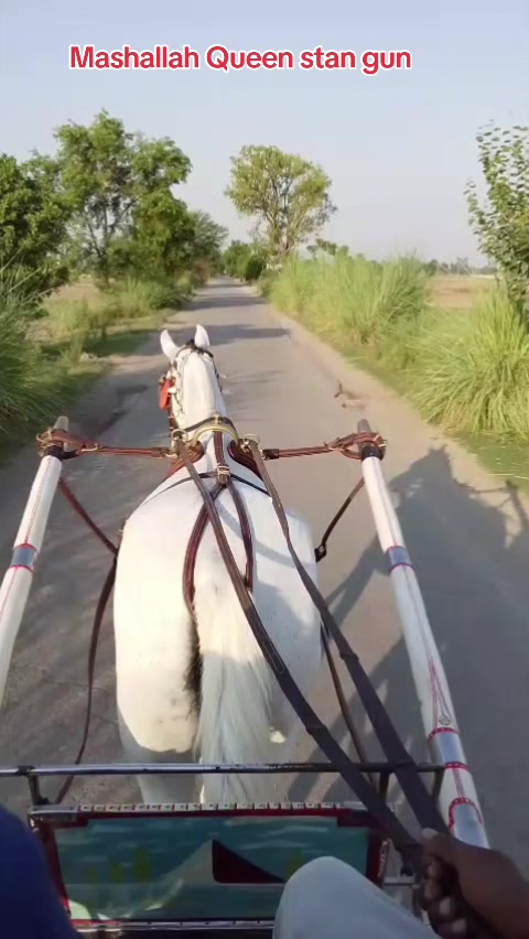 @Noman kasana Gujjar