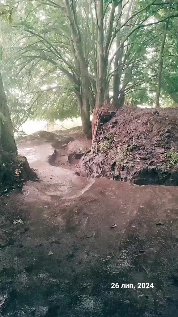 @__paliy__