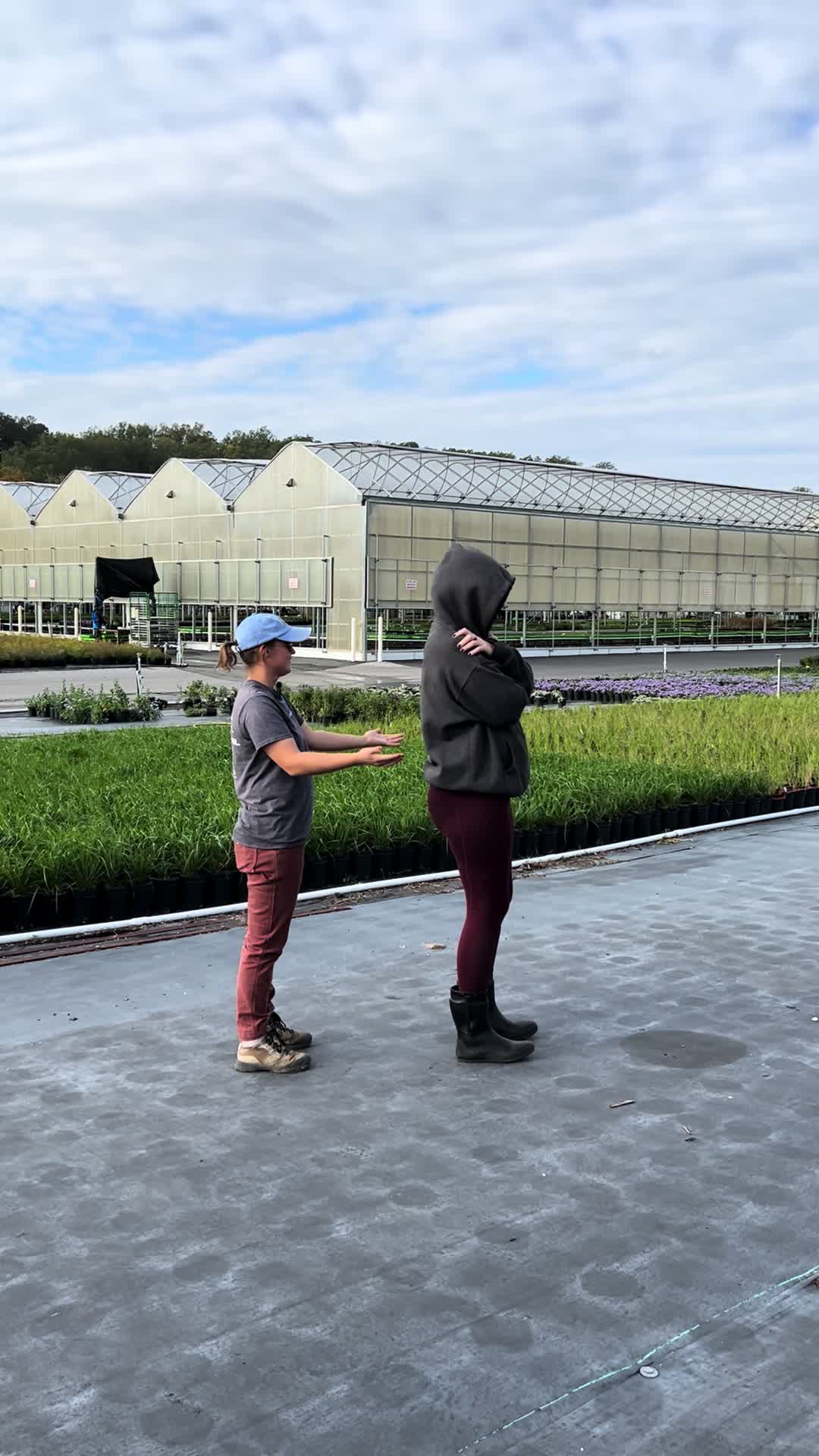 @The Perennial Farm