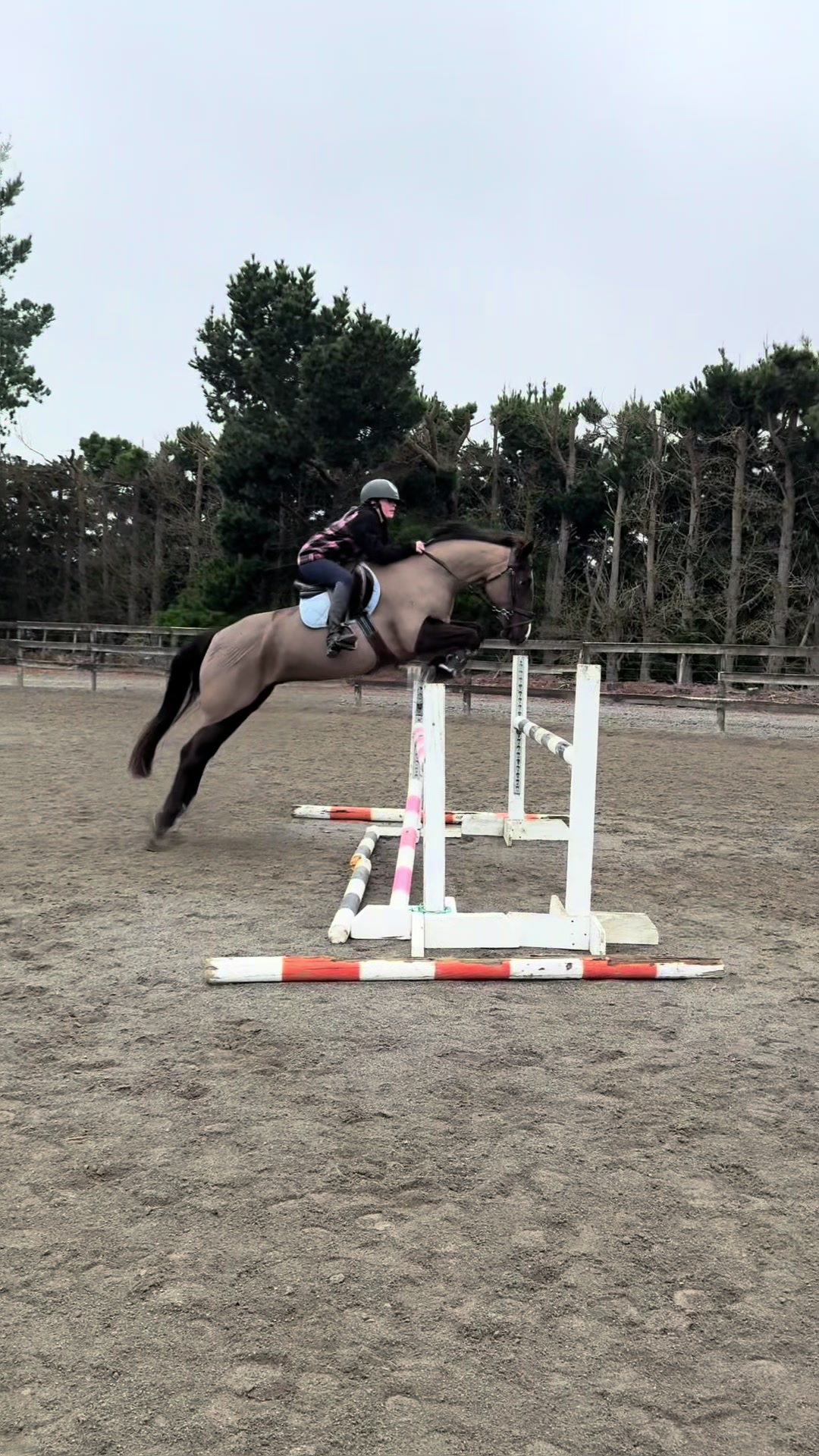 @rubi_andthe3iconicponies