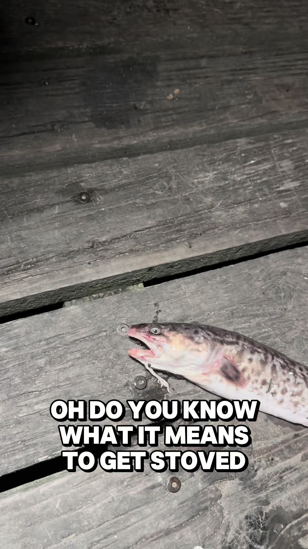 @TheRiverWarden