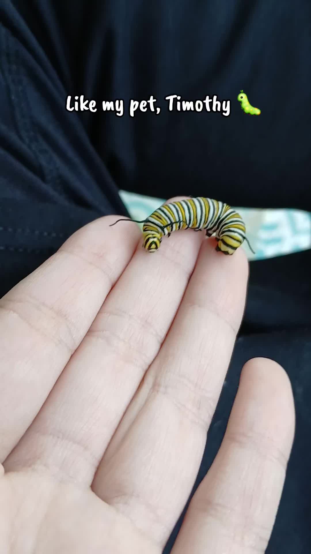 @🖤JayTheSlugcat💙