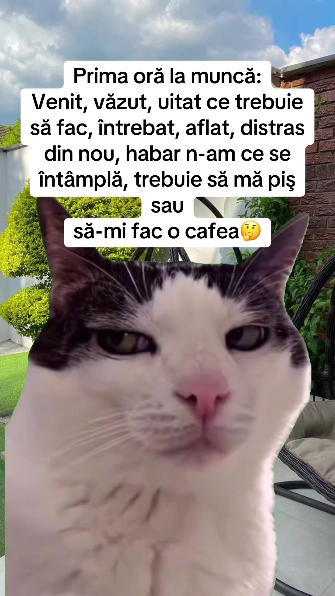 @*ð¢ðªð«ð»ðð€ð²ð©