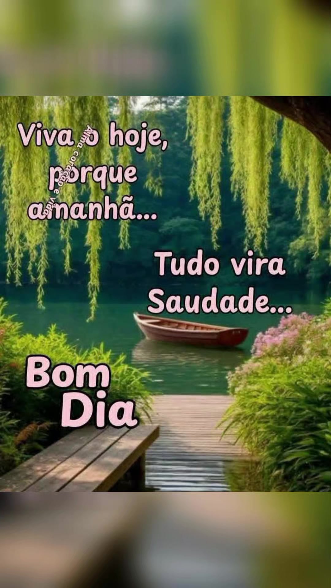 @Valdirene Soares 37