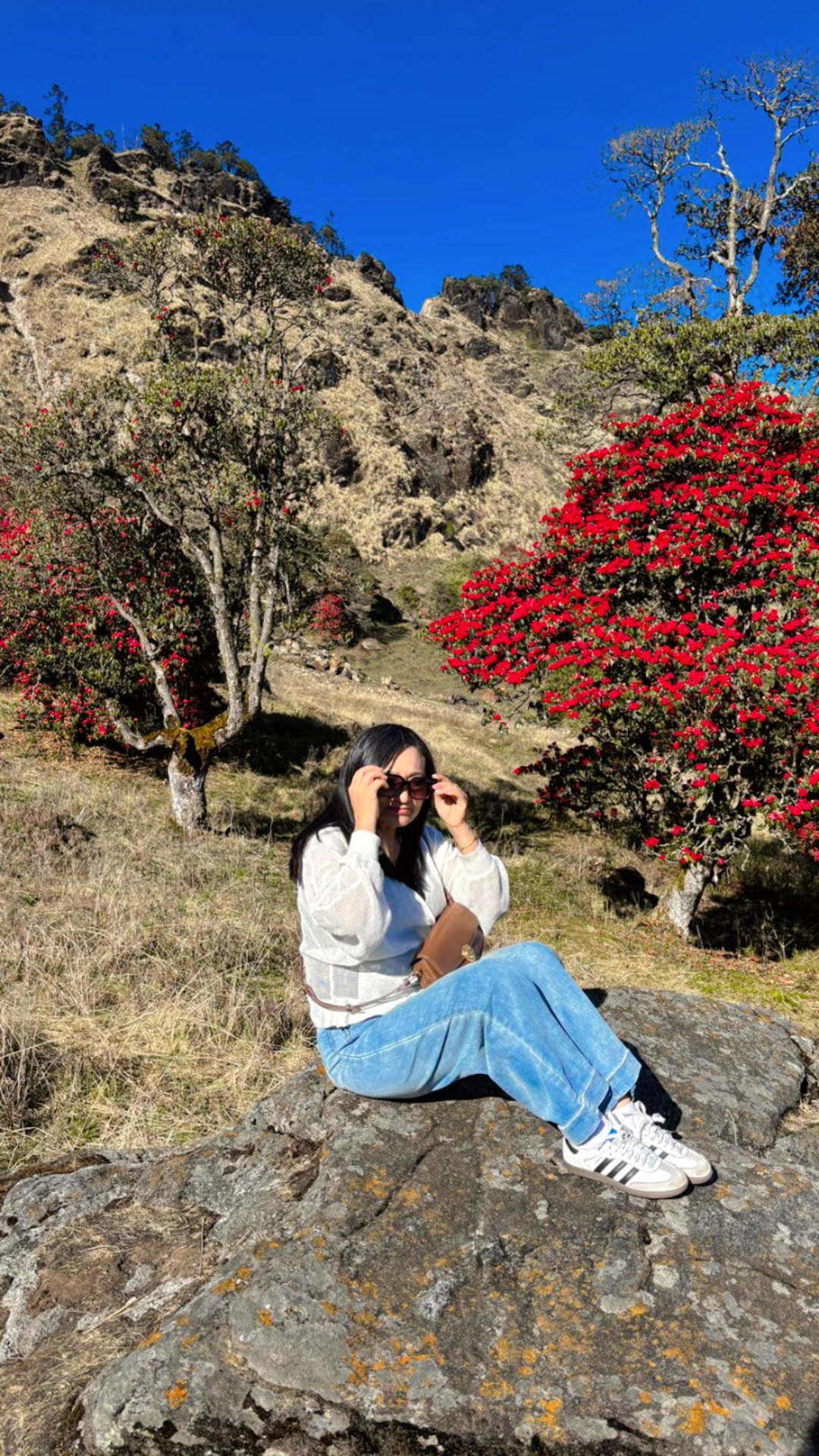 @Dilu Gurung