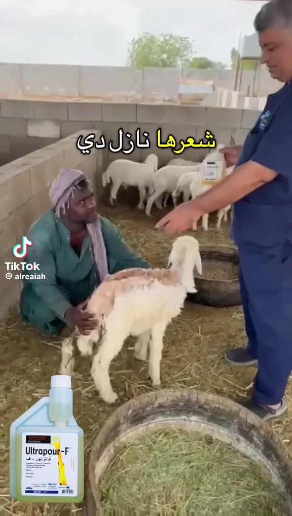 @mohamed_ksa0