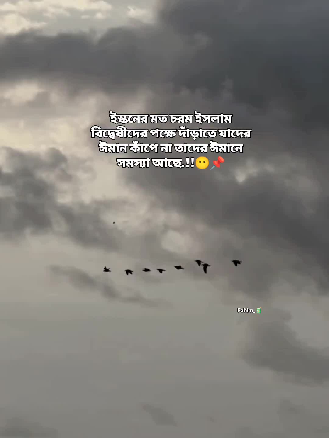 @𝒇𝒂𝒉𝒊𝒎༺𝑭*•.¸𝑵👰♀️᭄🧃