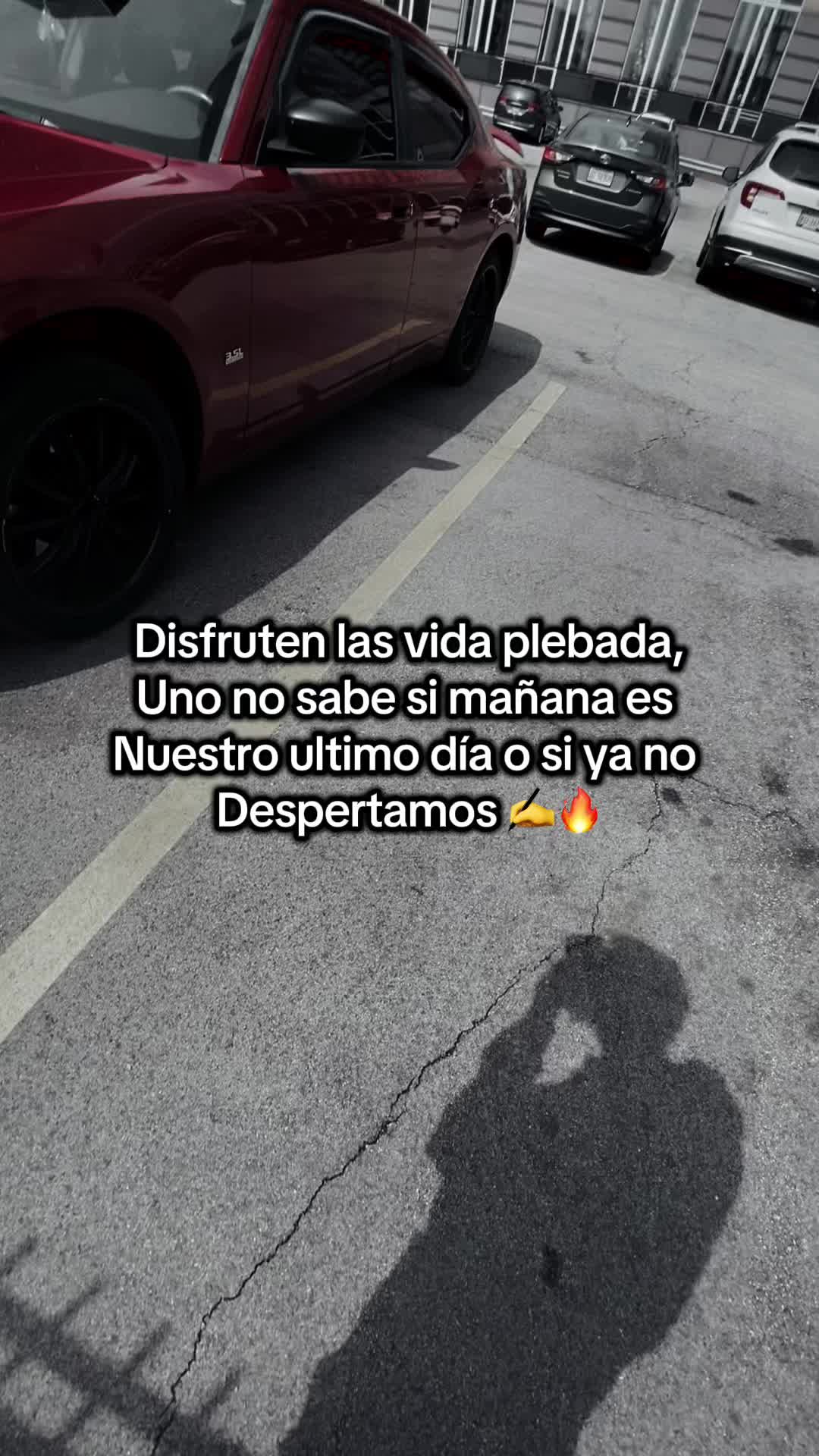 @️EL JR