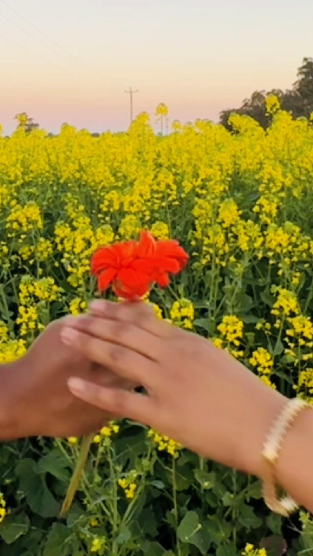 @प्रेम को भावना❤️