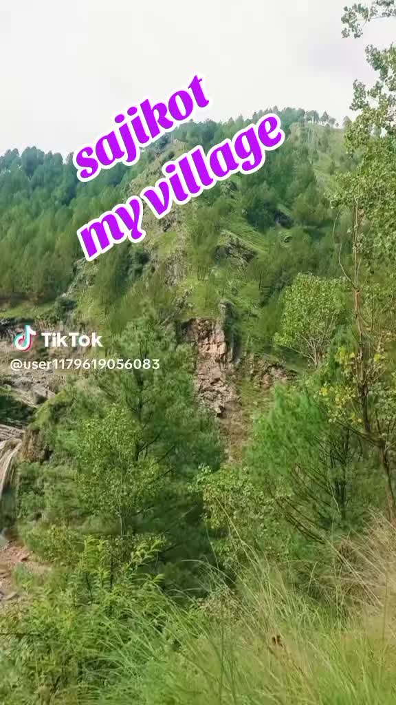 @muhammadsaddique8622