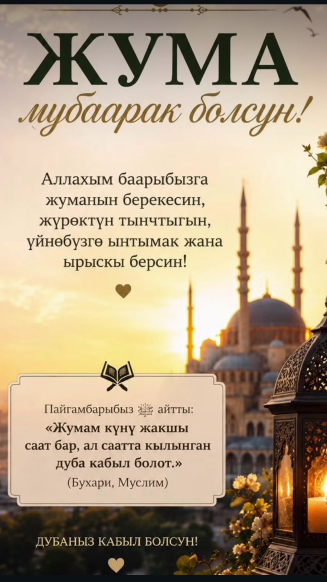 @❤️ NaRgIZа ShAh ❤️