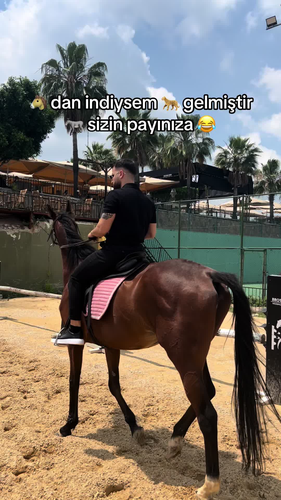 @Fatih Doğanay