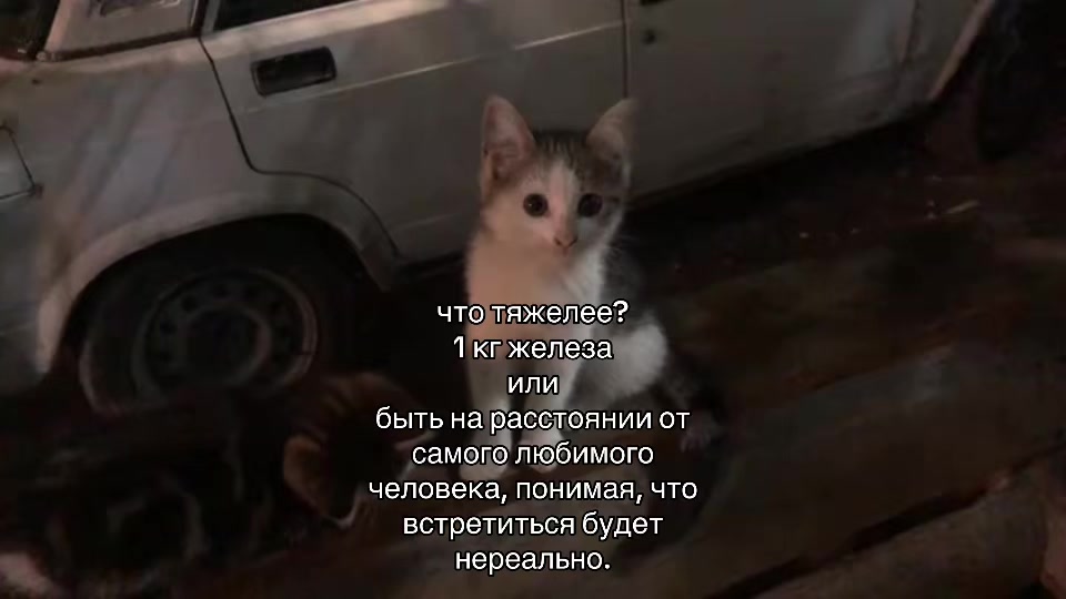 @лини