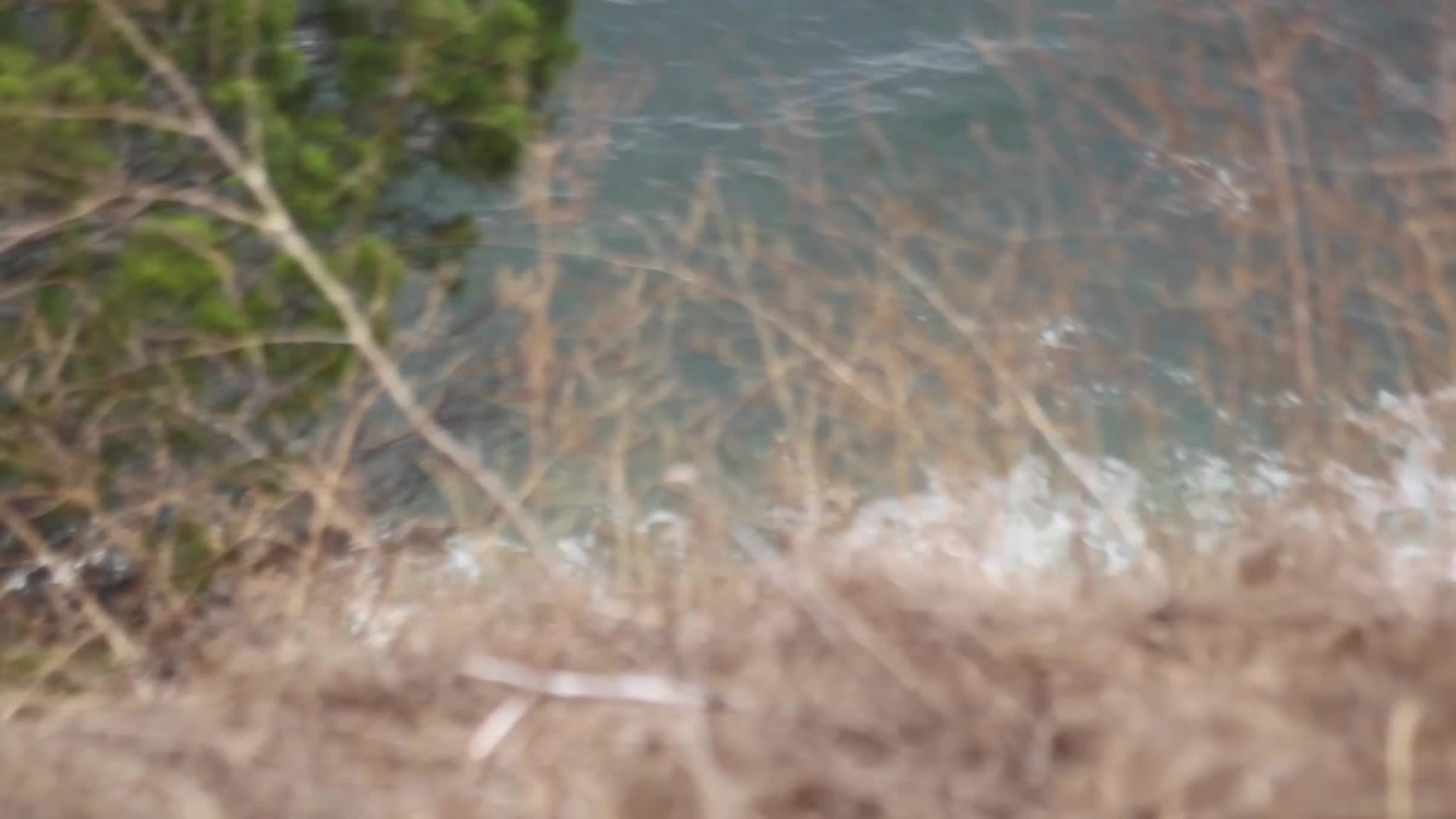 @wand3r.ir