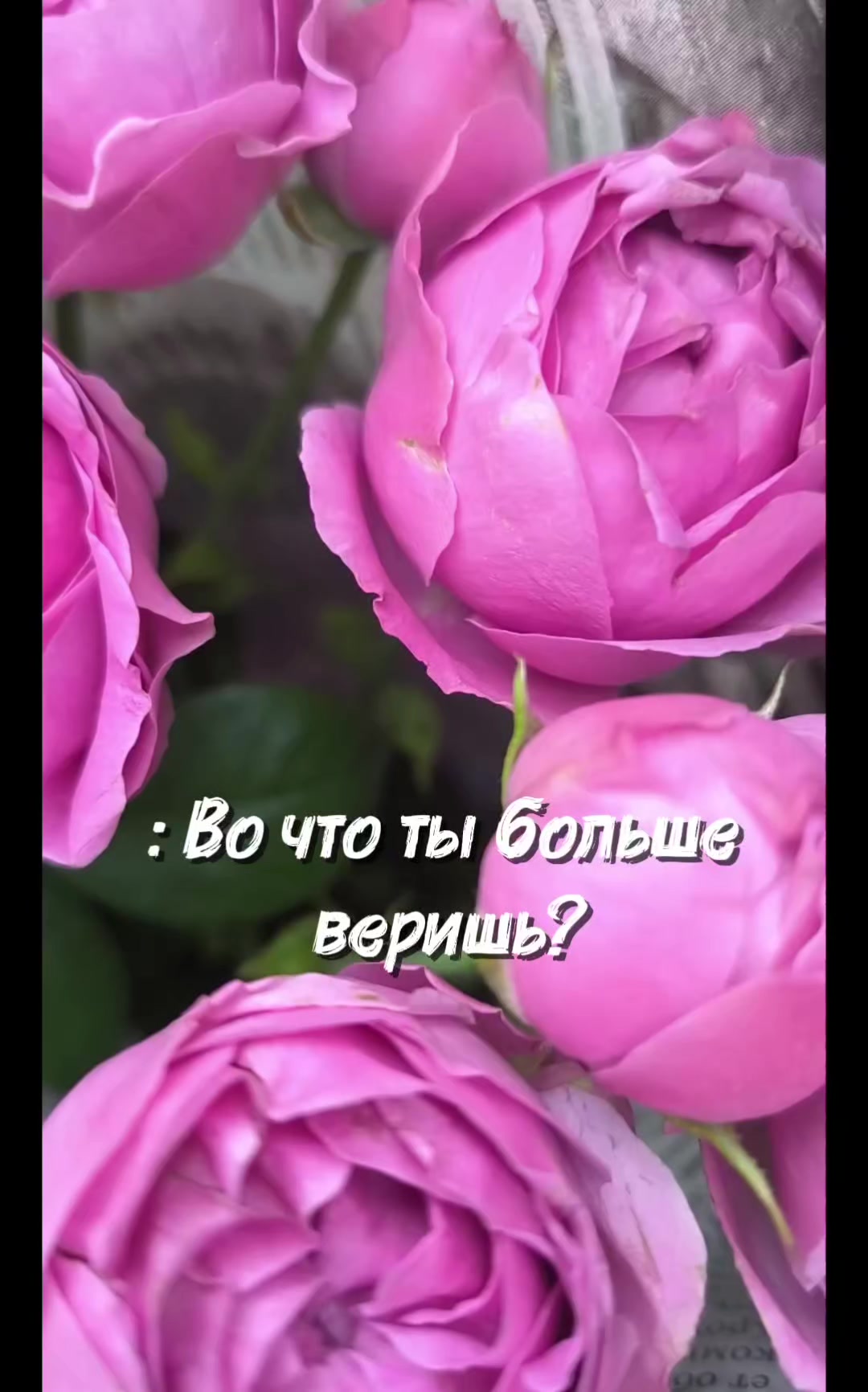 @тасамая