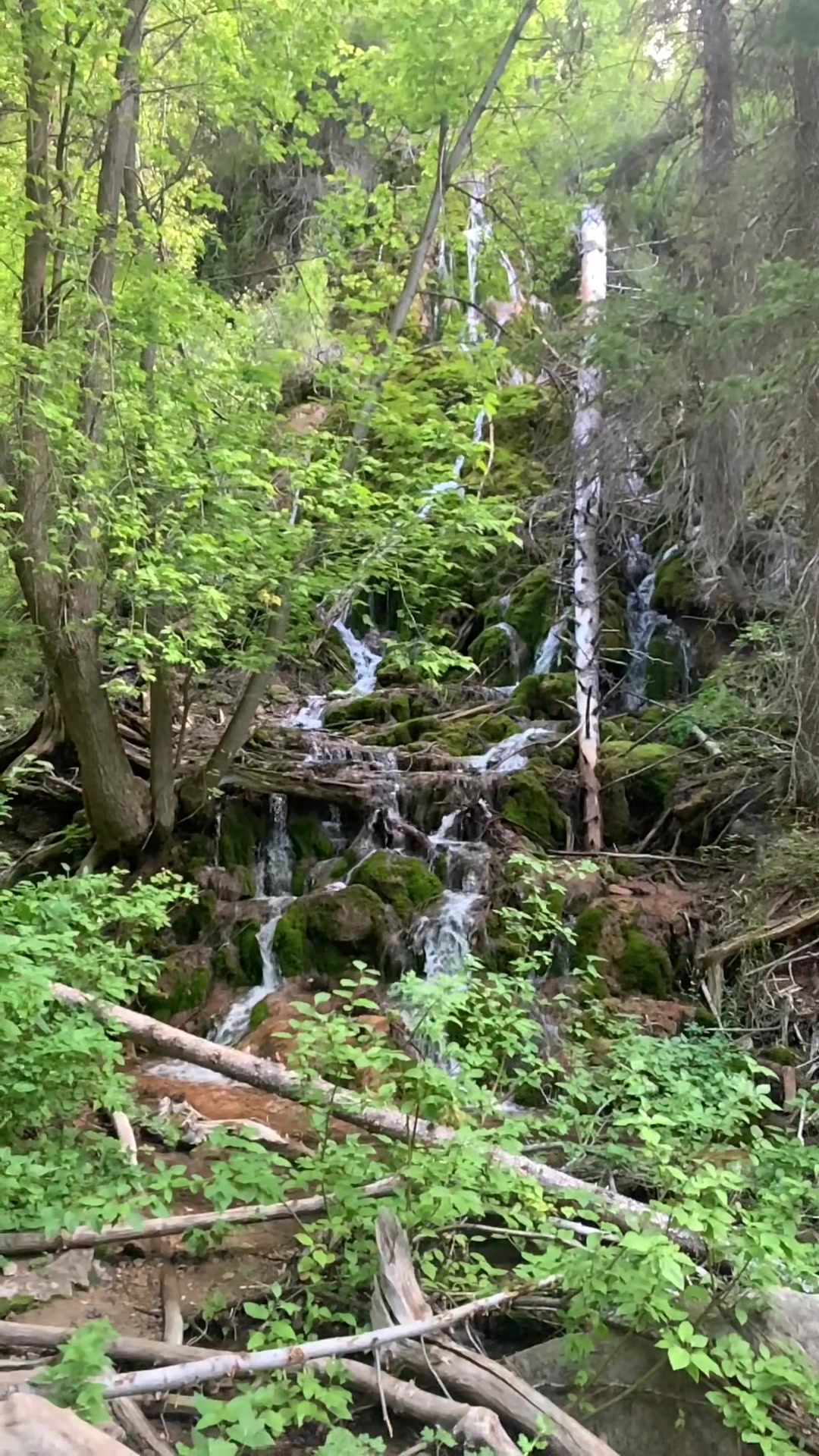 @mountainmaei