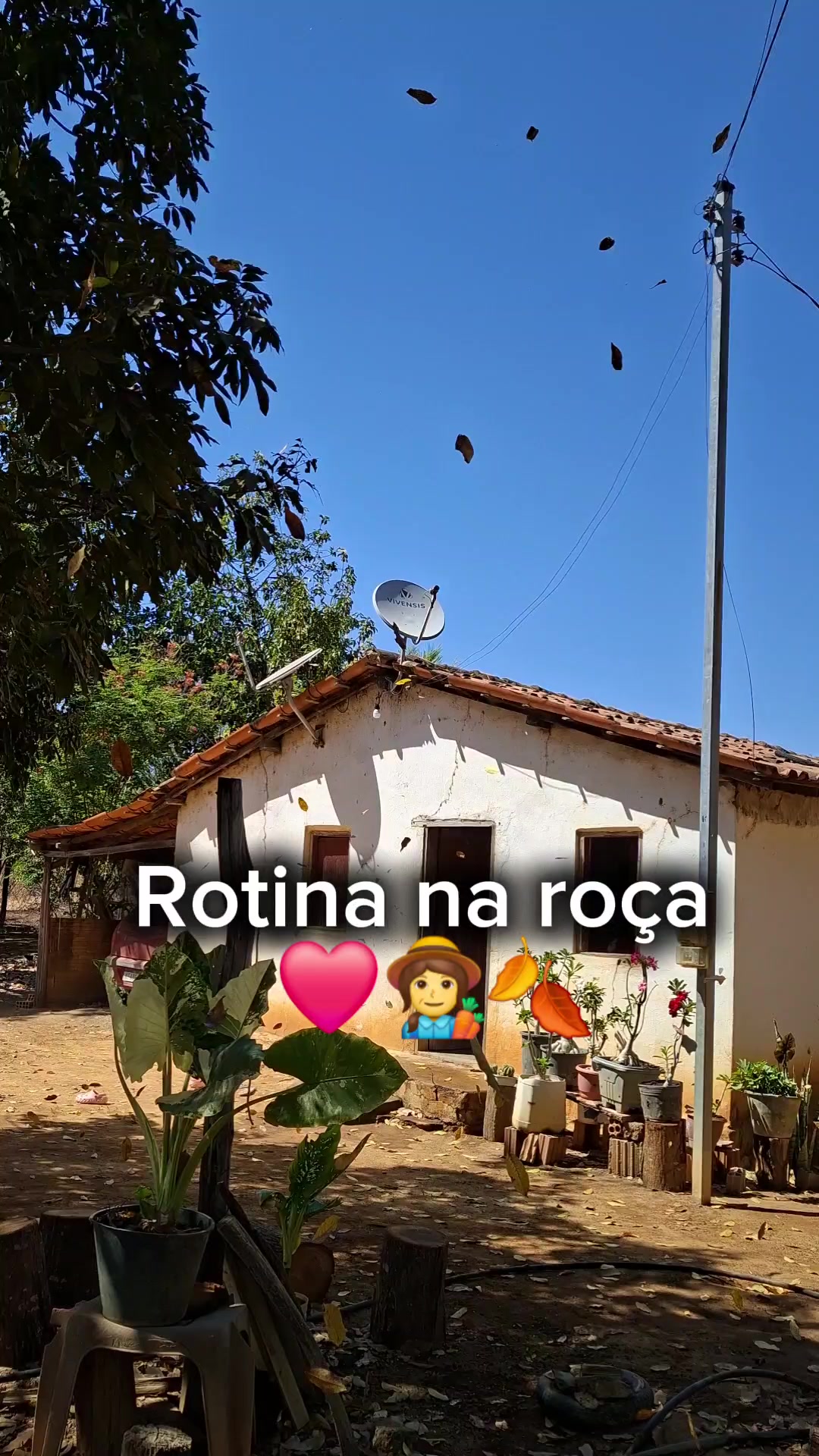 @Maisa Silva ❤️