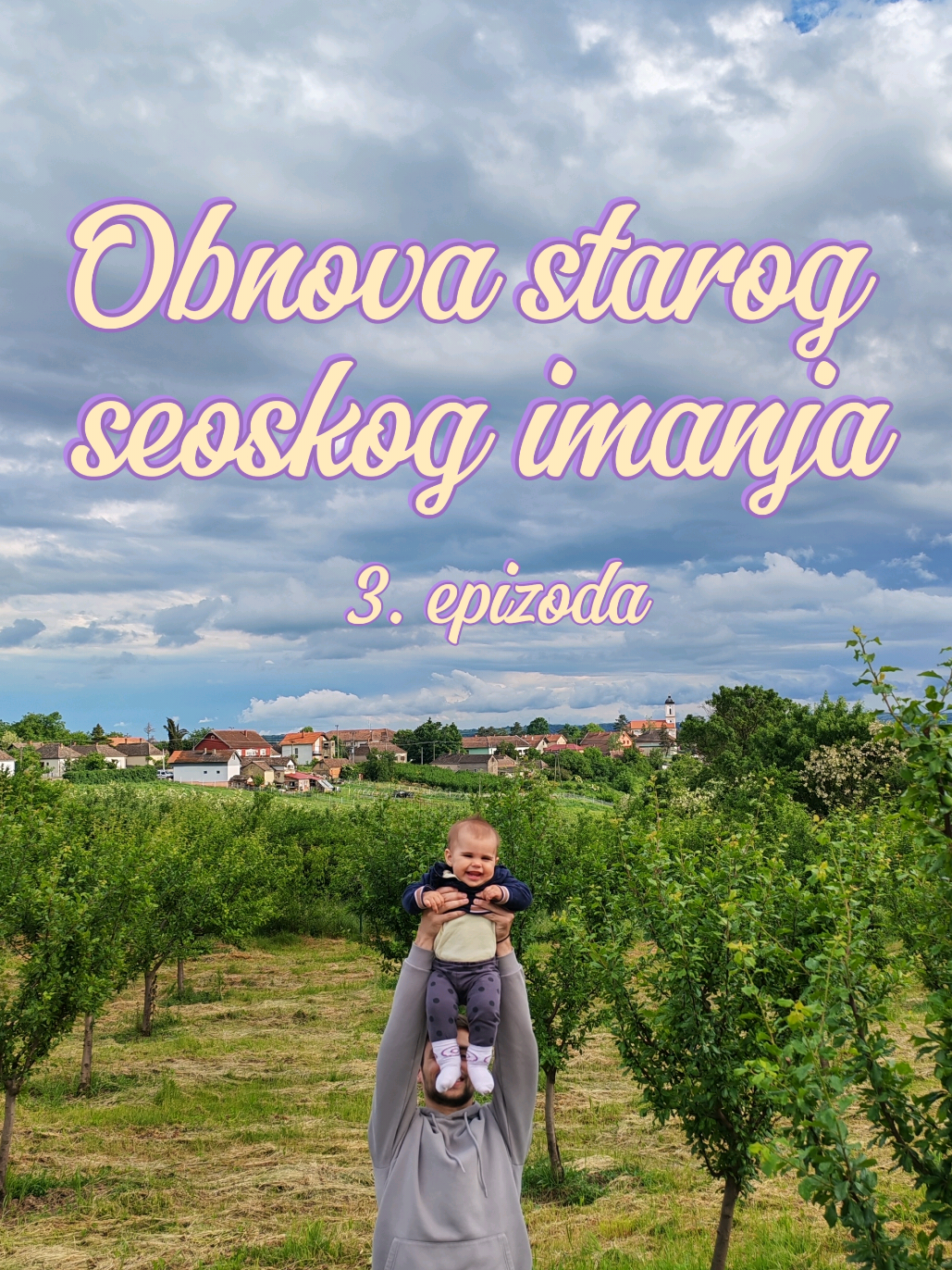 @Kristina Stanković