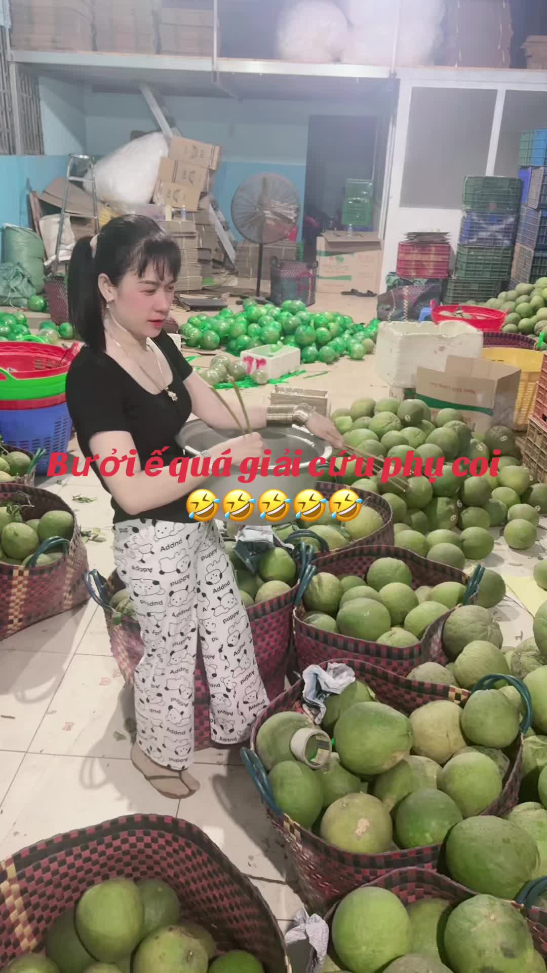 @Bàn tay nhỏ 63B3