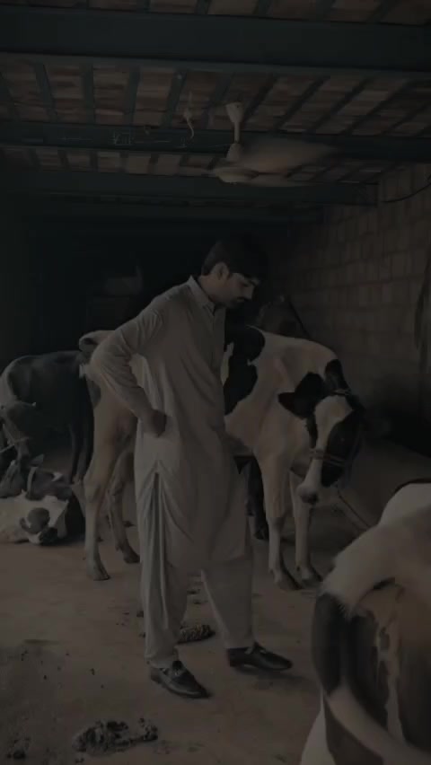 @گورسی🤍