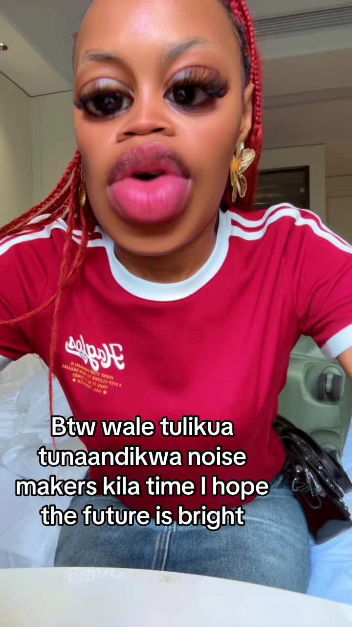 @michenichinaplug