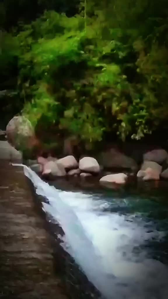 @"𝑗ℎ𝑒𝑚𝑧𝑏𝑒𝑡𝑧 𝑀𝑂𝑇𝑂"✌